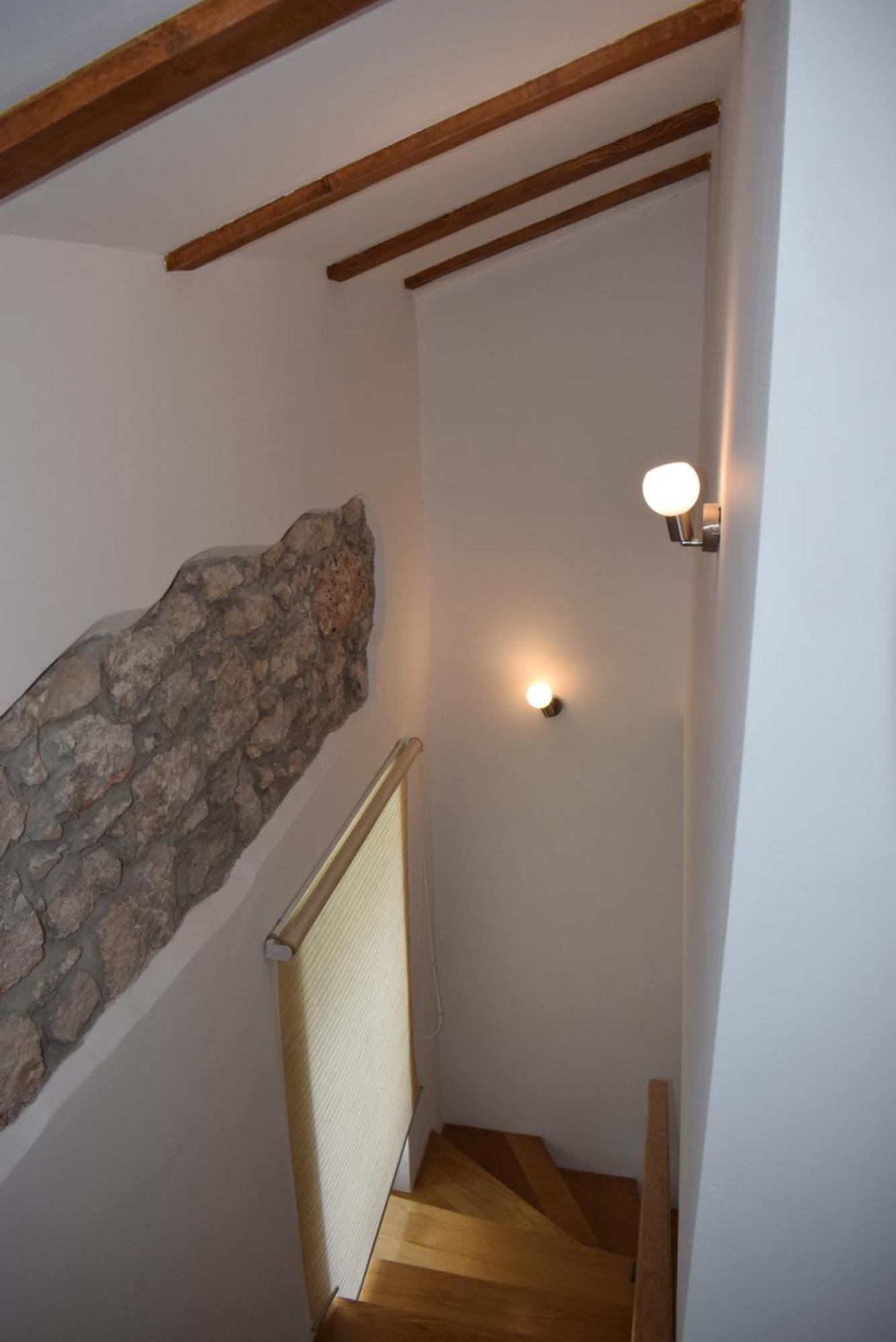 Apartman Kamelija